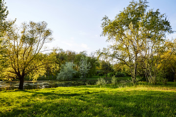 Dendrarium park at daylight in spring time