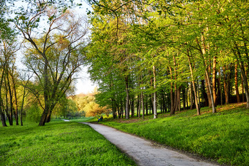 Obraz premium Dendrarium park at daylight in spring time