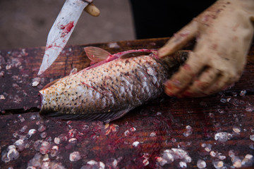 Cutting and cleaning fish with a knife on the cutting table