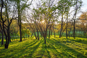 Dendrarium park at daylight in spring time