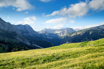 Image of Mountain Trnovacki Durmitor in Montenegro