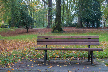 Bench in park