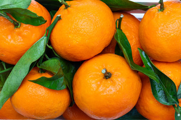 Close-up of fresh and raw mandarins with green leaves.