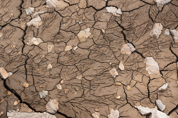 Texture of cracked arid land.