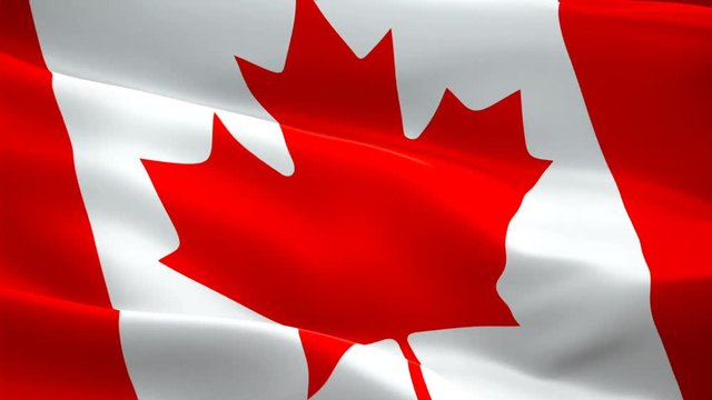 Canadian flag waving in wind video footage Full HD. Realistic Canadian Flag background. Canada Flag Looping Closeup 1080p Full HD 1920X1080 footage. Canada North American country flags Full HD