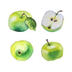 Watercolor painting of green apples