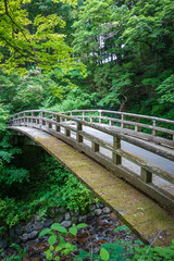 Fototapeta premium Traditional japanese wooden bridge in Nikko, Japan
