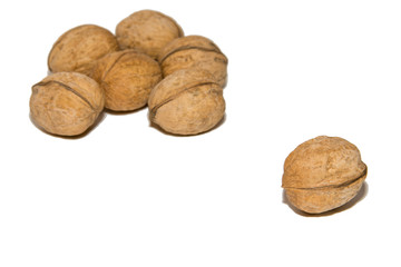 Close-up of walnut. On white background. Isolated.