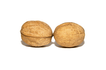 Close-up of walnut. On white background. Isolated.