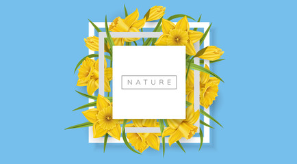 White square frame with yellow daffodil flower and green leaf, on blue background. Vector illustration for spring banner design, template for nature or Easter designs - 248017422