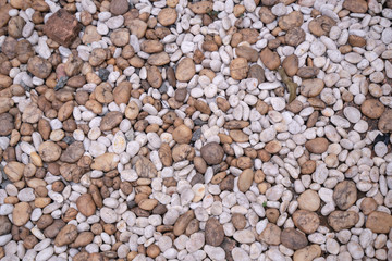 Small rock pebbles