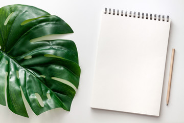 White desk. Top view sketchbook mockup for text. Big monstera leaf. Creative hipster space....