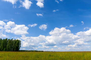 Fototapeta na wymiar Cloudy blue sky over the field and forest