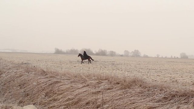 On a winter field rider rides a horse