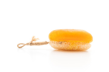 Luffa sponge scrub with soap