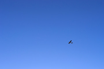 Light passenger plane lands at a private airport, Kronshtadt, St. Petersburg, Russia. Professional flights on airplanes. Industrial and civil air transportation by aircraft