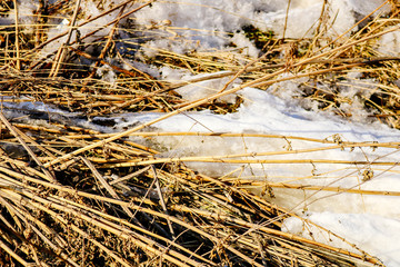 Texture photo background