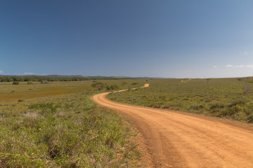 Fototapeta na wymiar Isimangaliso wetland park, South Africa
