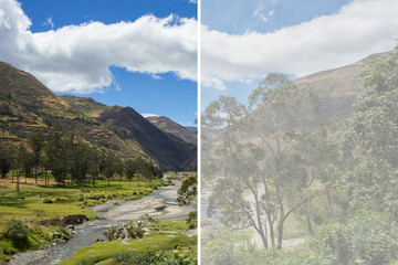 Normal view against view of patient suffering from cataract
