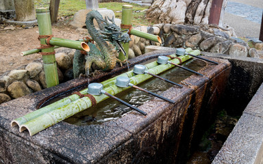 Dragon motif purification basin