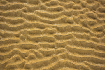 yellow gray sand waves with pieces of seashells close up. natural surface texture