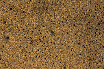 yellow gray sand on the beach with black holes closeup. natural surface texture