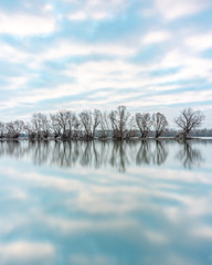 Winter at the Rhein river