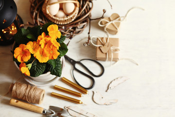 spring/Easter background/primrose in the pot,easter wreath and gifts on the chair against white wall/view from above