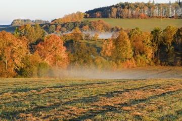 Foggy autumn morning. East Moravia. Czech Republic. Europe.