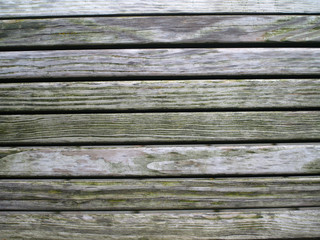 textures on a wooden bench