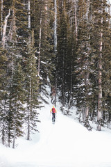 Alpine Skier in Mountain Scene