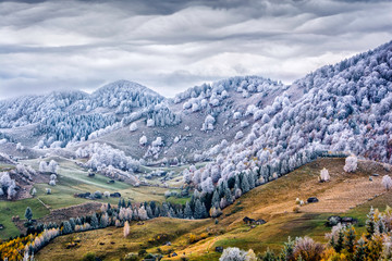 Fototapeta na wymiar Romanian landscape in the Carpathian mountains with frost over autumn leafs