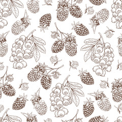 Vector hand drawn seamless pattern with berries, raspberry and blueberry 02