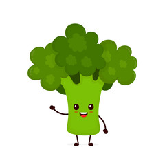 Happy smilling cute broccoli. Vector 