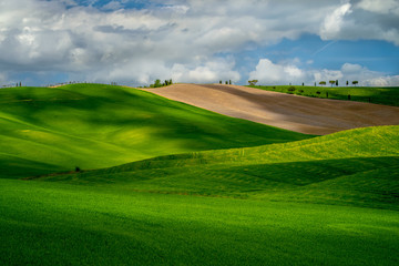 Fototapeta premium Tuscany green fields and rolling hills, Italy 