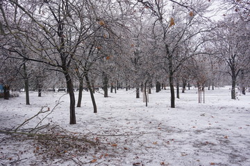 Freezing rain in Bucharest, ice rain