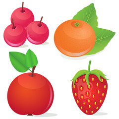 Vector illustration of different fruits such as orange, apple, strawberry and red berries