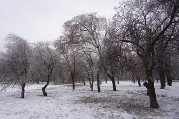 Freezing rain in Bucharest, ice rain