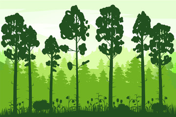 Obraz premium Spring beautiful landscape, forest, silhouettes of tree trunks, green color of foliage. Panorama, horizon, nature. Vector illustration, cartoon style, isolated, banner, template, poster, card
