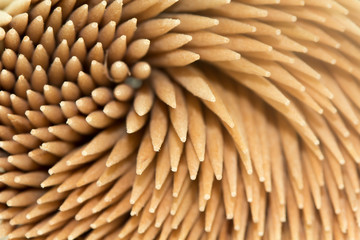 Toothpicks full frame image.