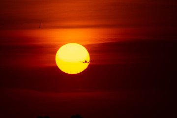 Silhouette of airplane in sunset landing on airport