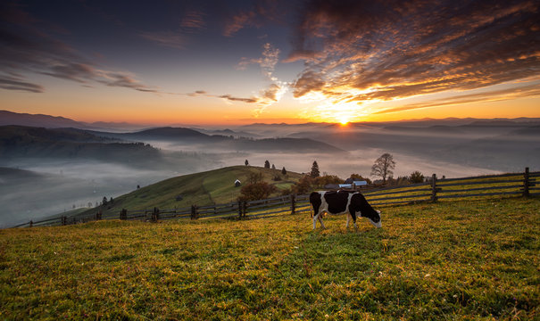 Bucovina landscape in autumn time with mist and sunrise in Romania 