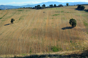 Sunny landscapes in the Molise countryside in  southern Italy.
