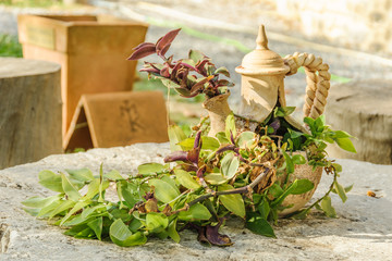 Flowerpot with flowers on the stump