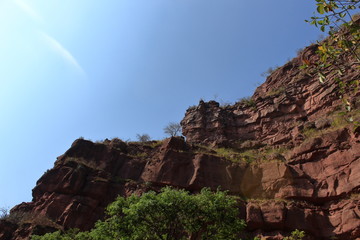 Roca