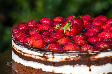 Fresh birthday cake with forest fruit closeup detail 