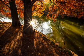 Herastrau park in Bucharest , autumn time, Romania 