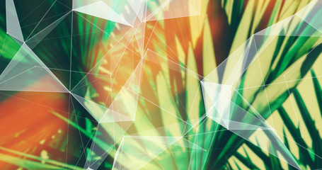Palm Leaves. Geometric Abstract design. Polygonal tropical background. - 248034027