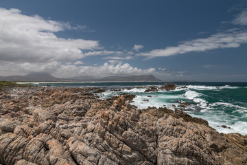 Stony Point in Bettys Bay, South Africa
