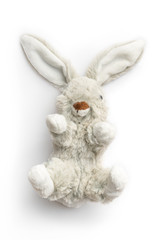 freigestellter Plüschhase